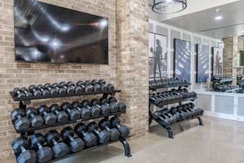 Gym with rack of dumbbells